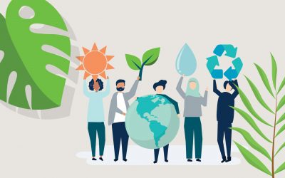 Sustainability in the Video Industry