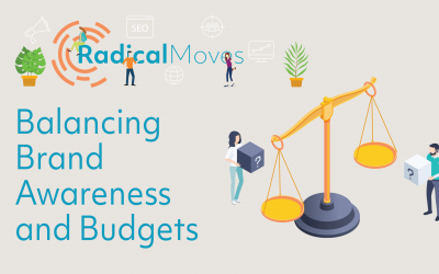 Balancing Brand Awareness and Budgets